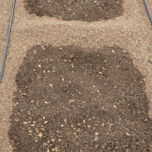 What's the best soil for your backyard greenhouse?