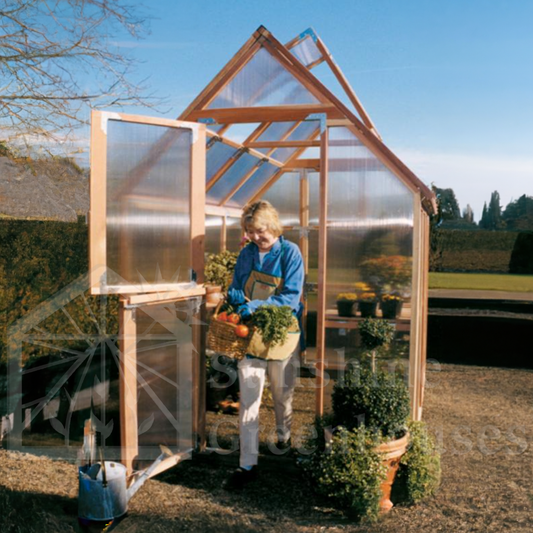 Plants in Containers