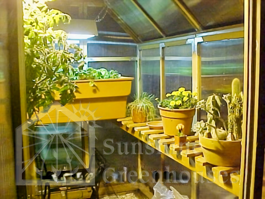 Planting a Cactus Garden