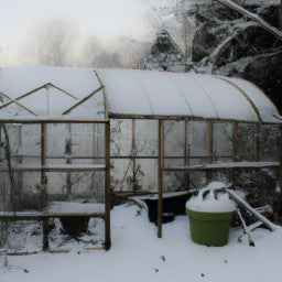 The importance of greenhouse ventilation - even in cold weather
