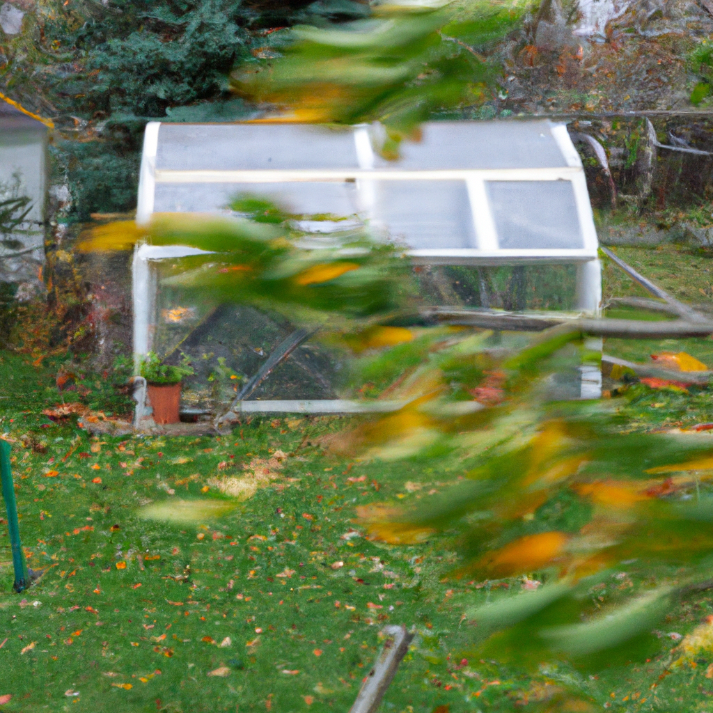 Adding a cold frame to your garden