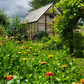 Mt. Rainier 8' x 16' Greenhouse Kit