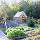 Mt. Rainier 8' x 12' Greenhouse Kit